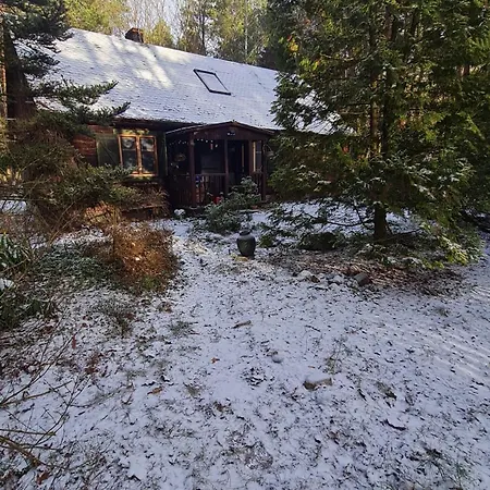 Lesne Zacisze * Dzbadzek