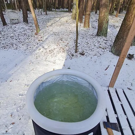 Lesne Zacisze Dzbadzek