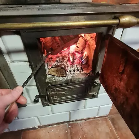 Lesne Zacisze * Dzbadzek