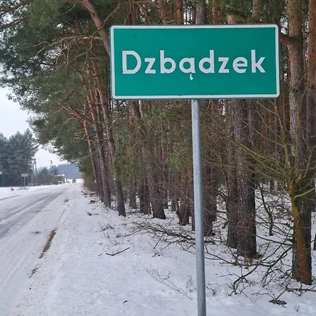 בקתה Lesne Zacisze Dzbadzek