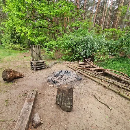 Lesne Zacisze